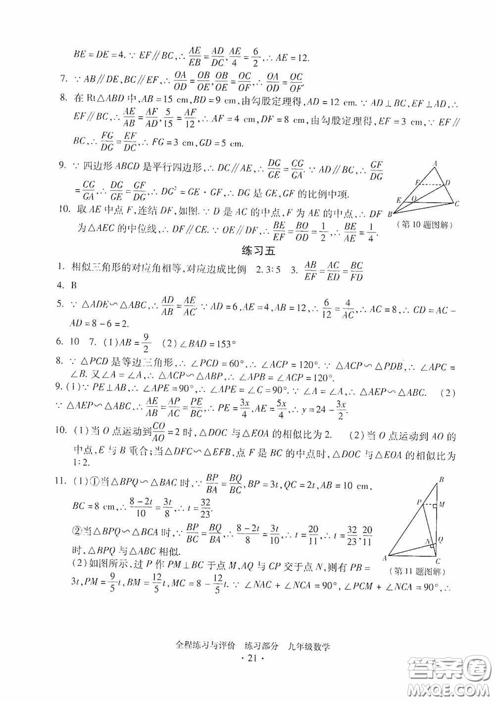 浙江人民出版社2020全程練習與評價九年級數(shù)學全一冊ZH版答案