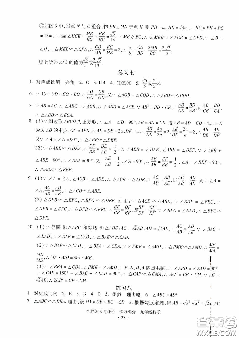 浙江人民出版社2020全程練習與評價九年級數(shù)學全一冊ZH版答案