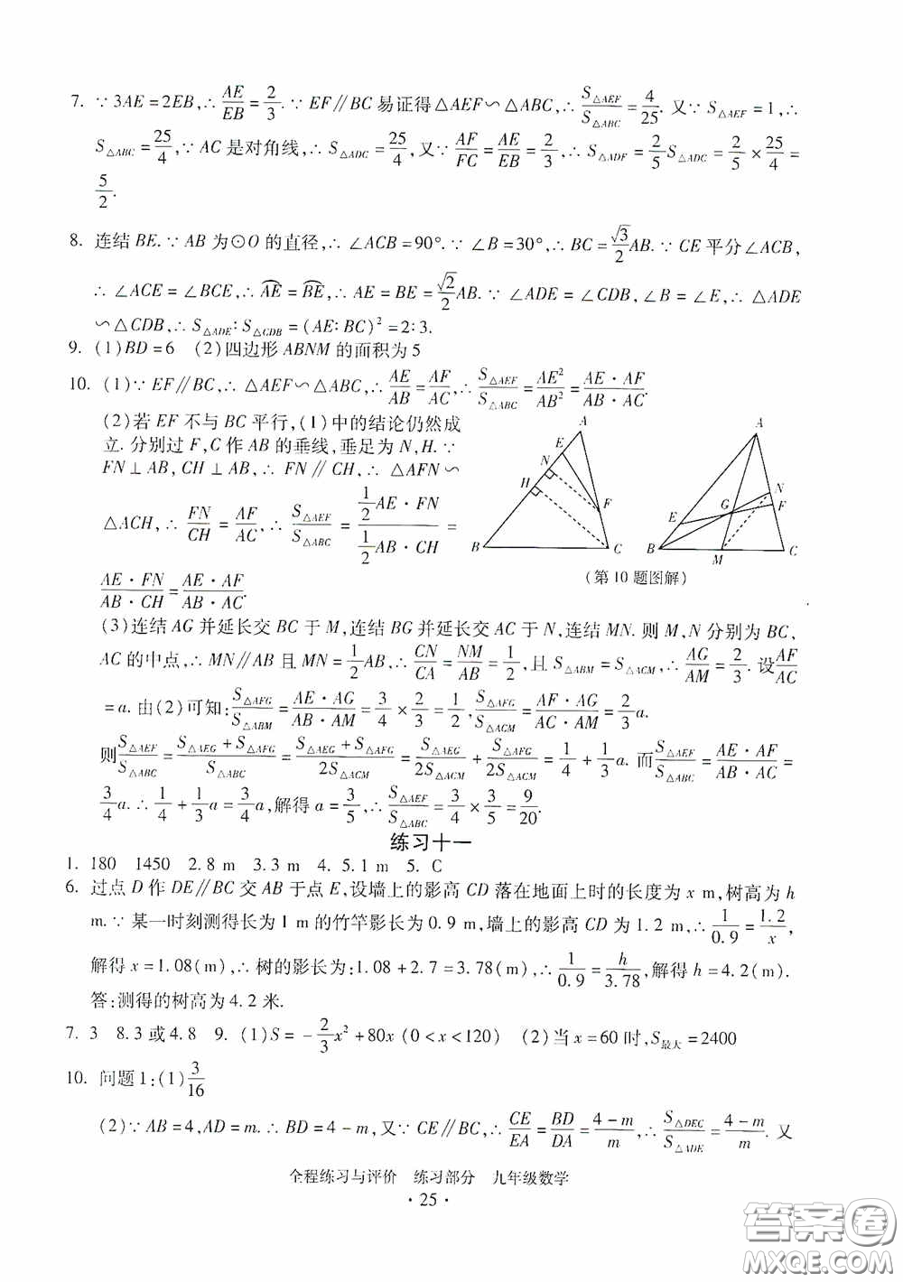 浙江人民出版社2020全程練習與評價九年級數(shù)學全一冊ZH版答案