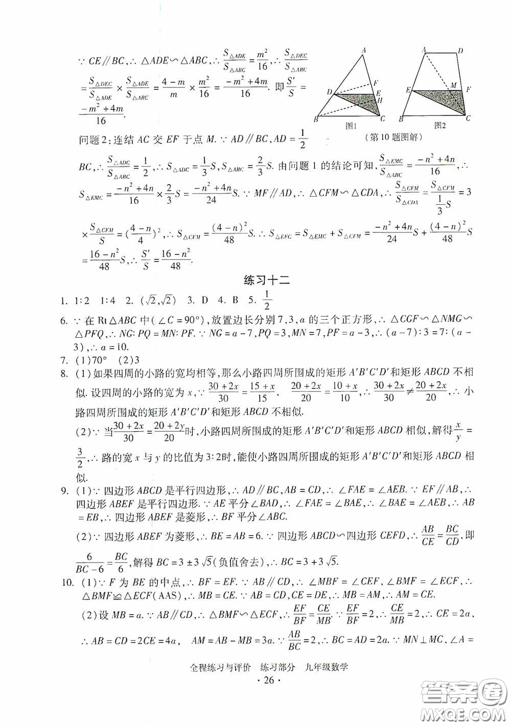 浙江人民出版社2020全程練習與評價九年級數(shù)學全一冊ZH版答案