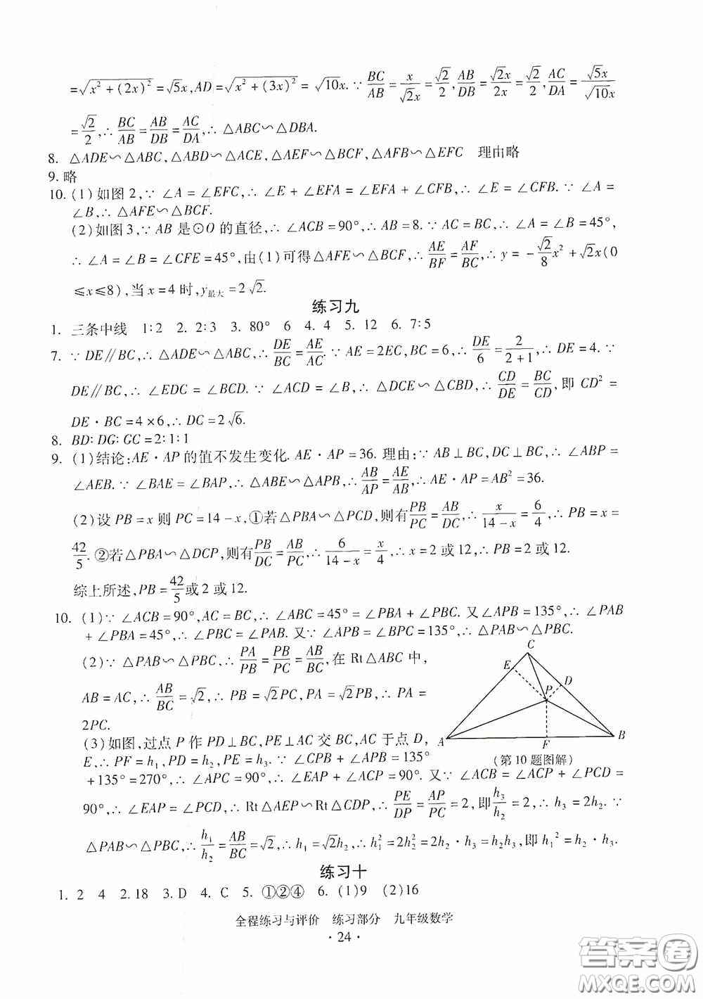 浙江人民出版社2020全程練習與評價九年級數(shù)學全一冊ZH版答案