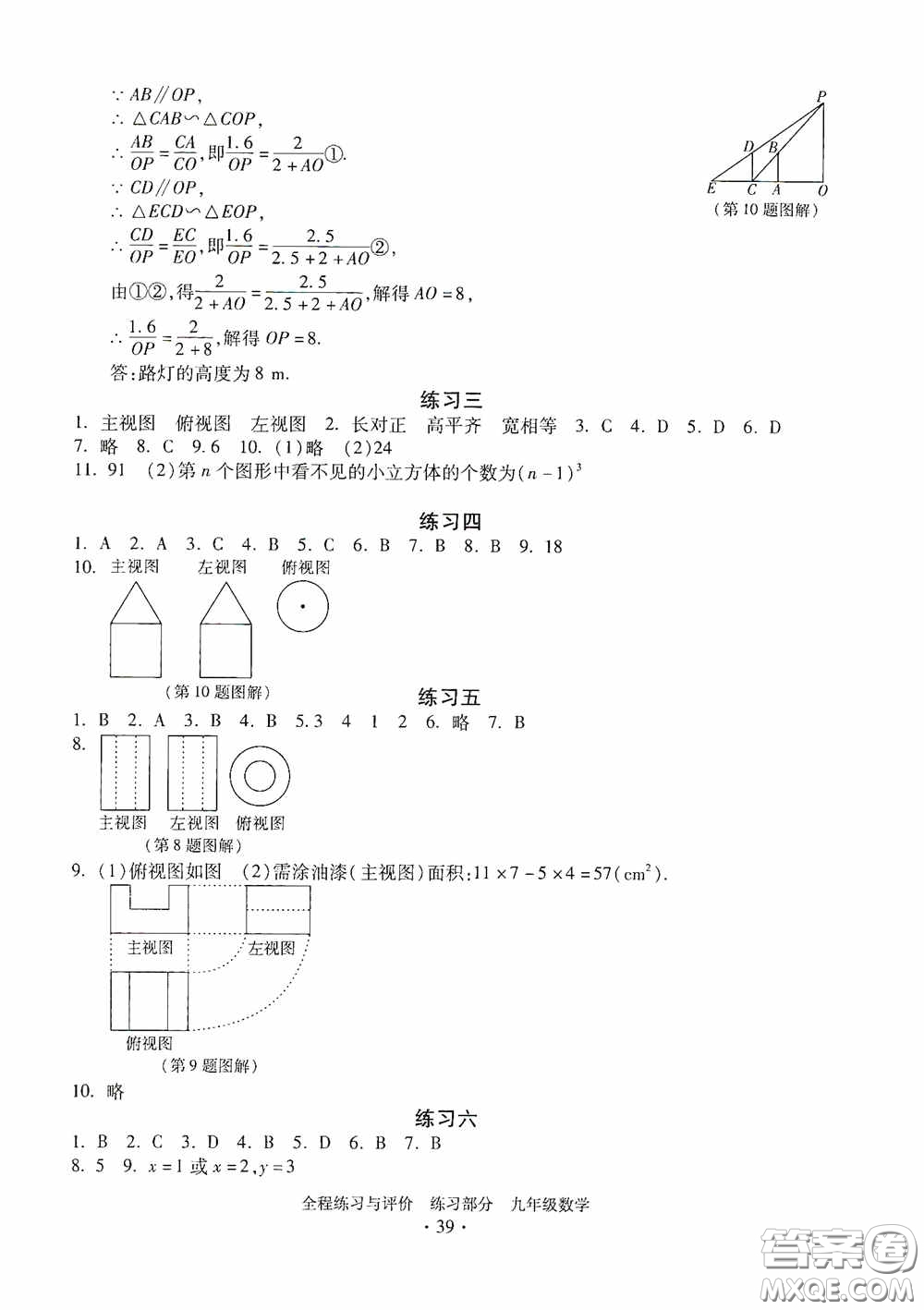 浙江人民出版社2020全程練習與評價九年級數(shù)學全一冊ZH版答案