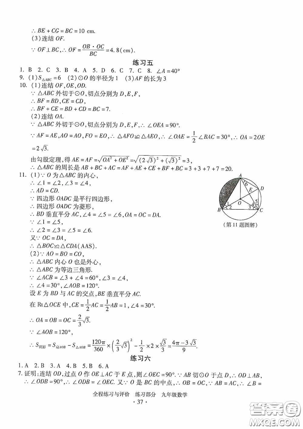 浙江人民出版社2020全程練習與評價九年級數(shù)學全一冊ZH版答案