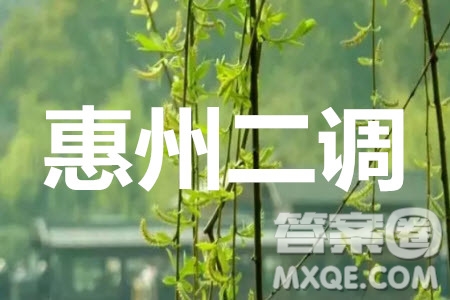 惠州市2021屆高三第二次調(diào)研考試化學(xué)試題及答案