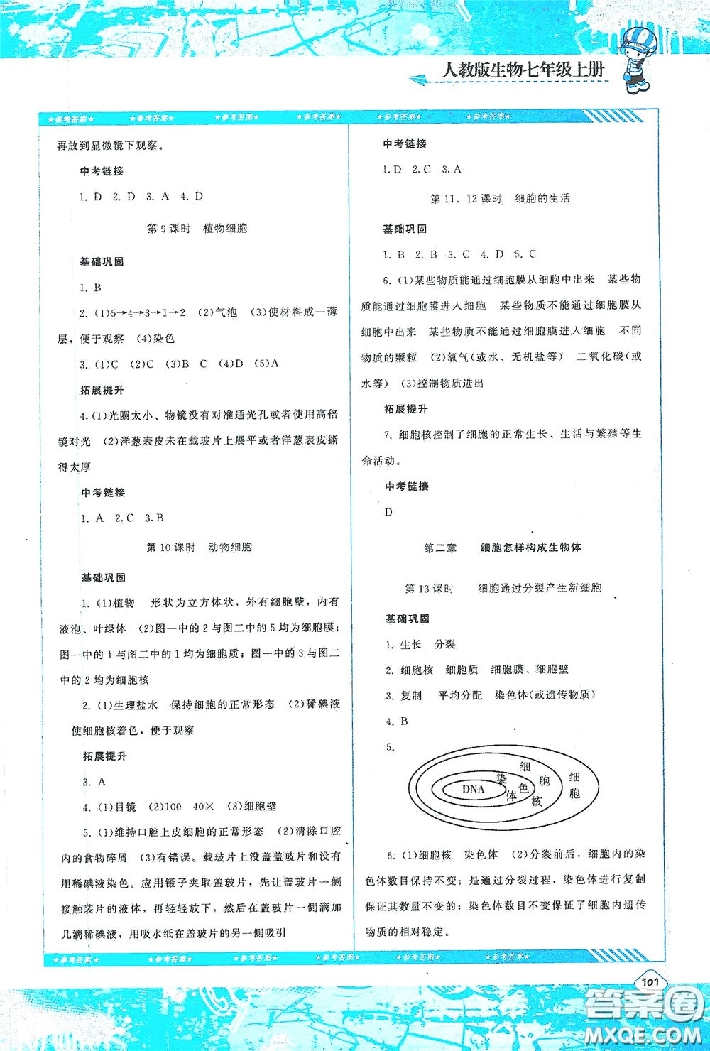 湖南少年兒童出版社2020課程基礎(chǔ)訓(xùn)練七年級生物上冊人教版答案