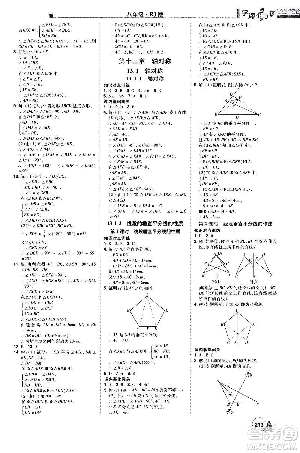 江西美術(shù)出版社2020學(xué)海風(fēng)暴數(shù)學(xué)八年級上冊RJ人教版答案