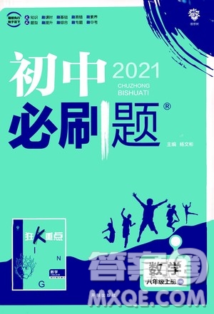 ?開明出版社2021版初中必刷題數(shù)學(xué)八年級上冊HK滬科版答案