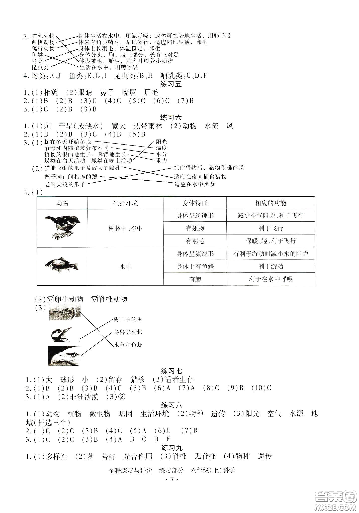 浙江人民出版社2020全程練習(xí)與評(píng)價(jià)六年級(jí)科學(xué)上冊(cè)冀教版答案