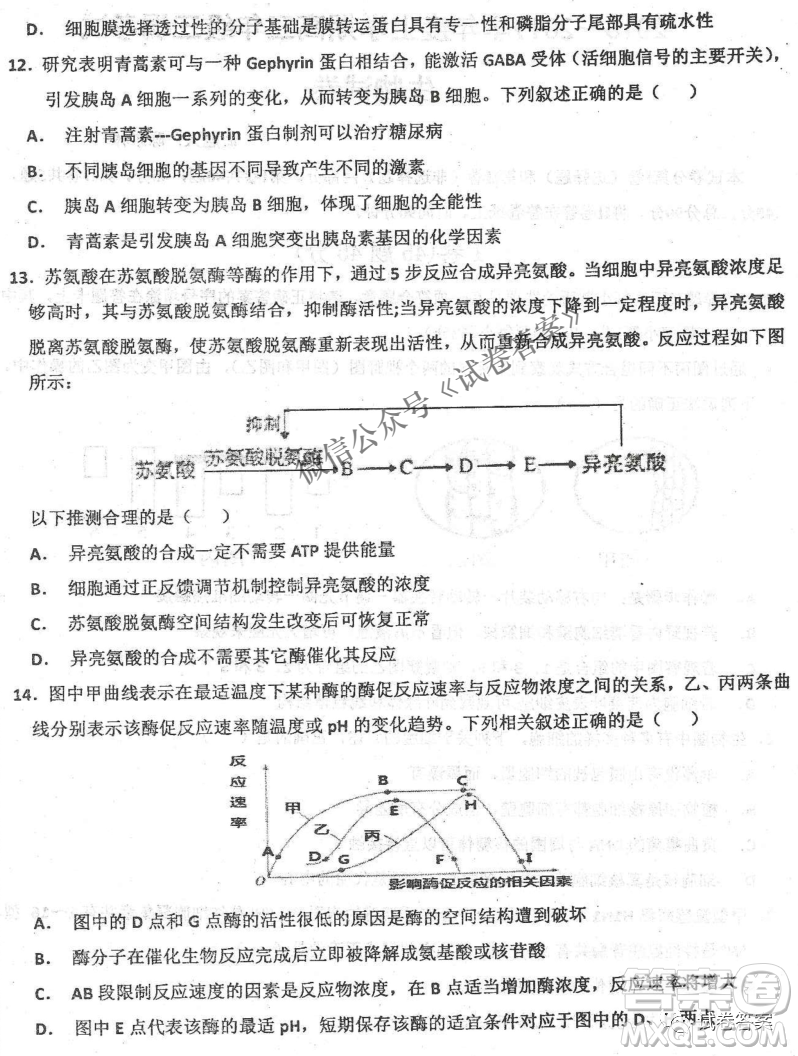 2020年衡水中學(xué)高三年級(jí)期中考試生物試卷及答案