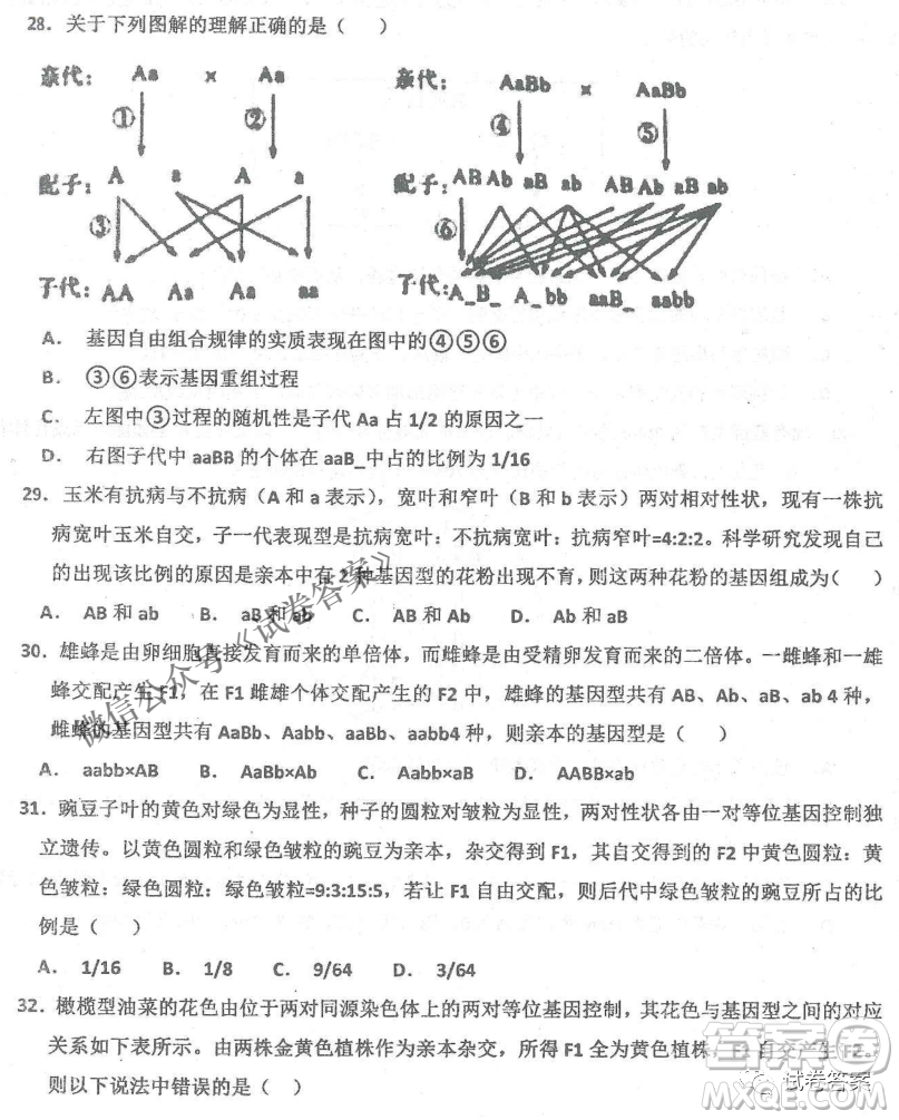 2020年衡水中學(xué)高三年級(jí)期中考試生物試卷及答案