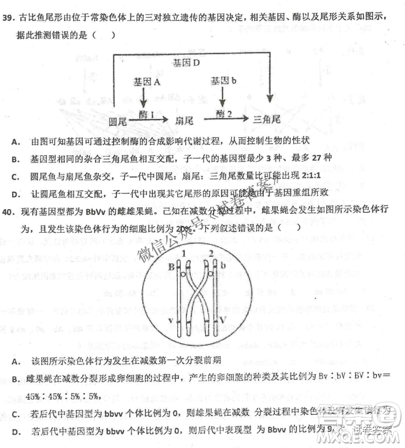 2020年衡水中學(xué)高三年級(jí)期中考試生物試卷及答案