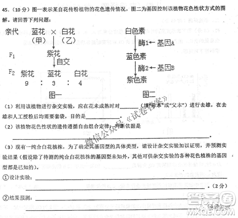 2020年衡水中學(xué)高三年級(jí)期中考試生物試卷及答案