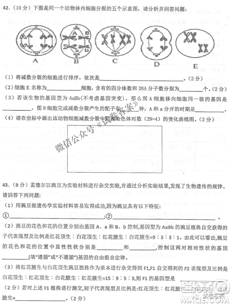 2020年衡水中學(xué)高三年級(jí)期中考試生物試卷及答案