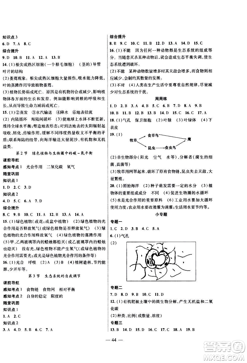 2020年新課程成長資源課時精練生物八年級上冊蘇科版答案