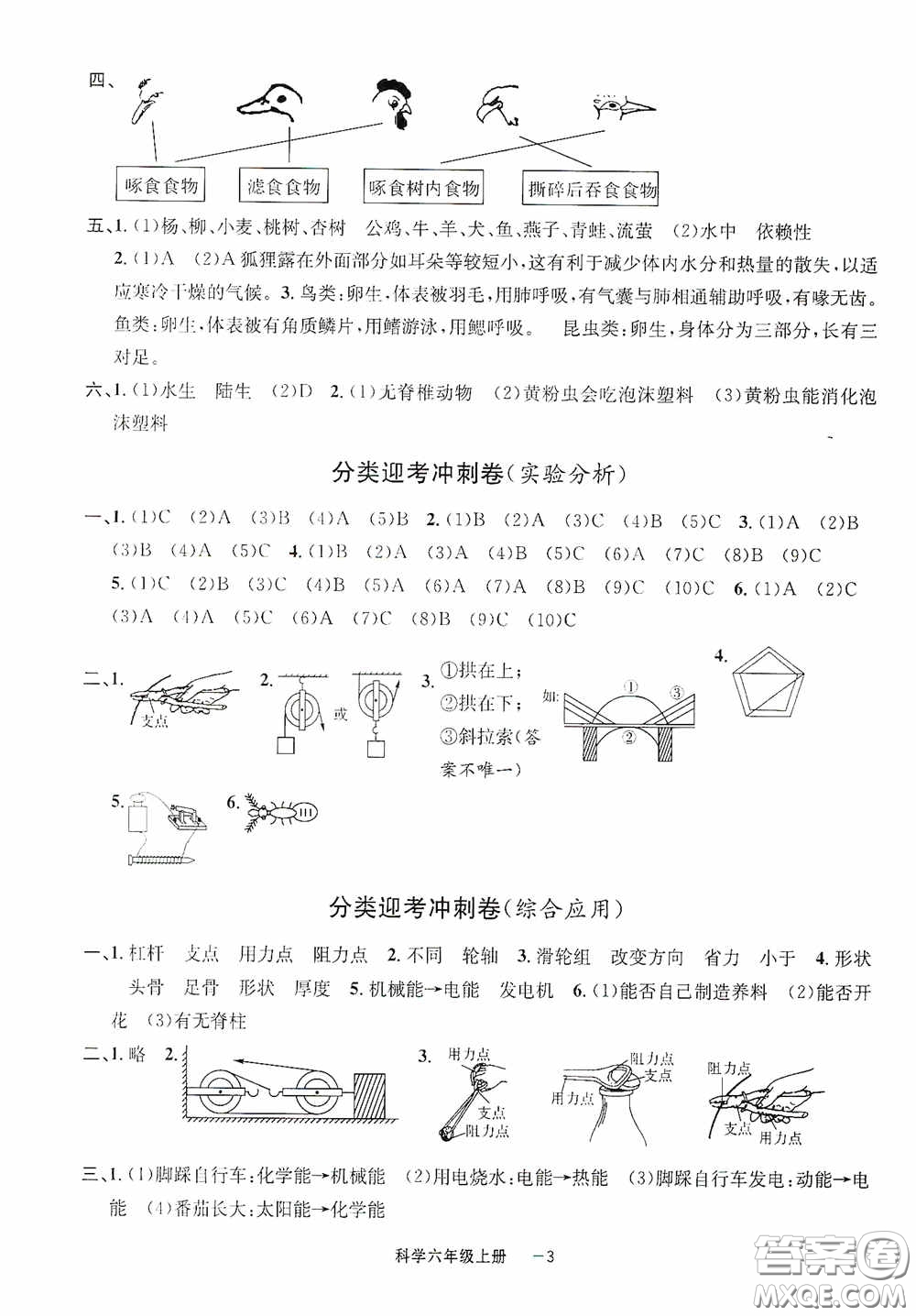 寧波出版社2020浙江各地期末迎考卷六年級科學(xué)上冊冀教版答案