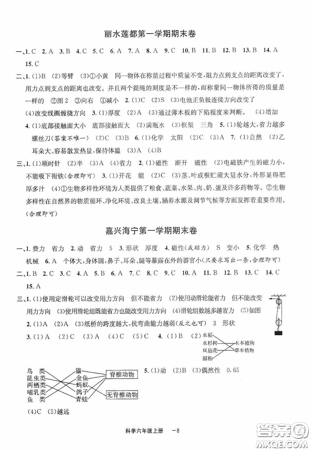 寧波出版社2020浙江各地期末迎考卷六年級科學(xué)上冊冀教版答案