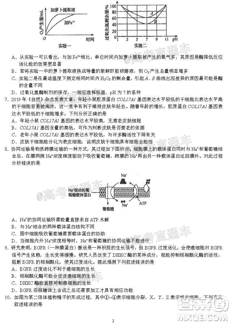 河北省衡水中學2021屆上學期高三年級二調考試生物試題及答案