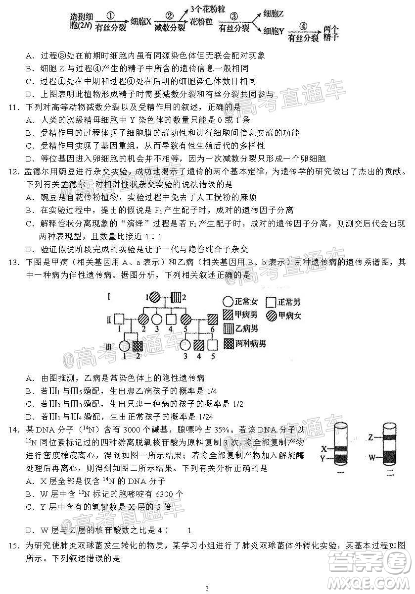 河北省衡水中學2021屆上學期高三年級二調考試生物試題及答案