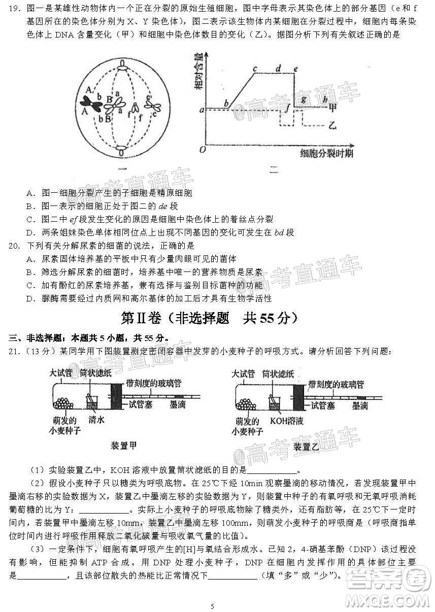 河北省衡水中學2021屆上學期高三年級二調考試生物試題及答案