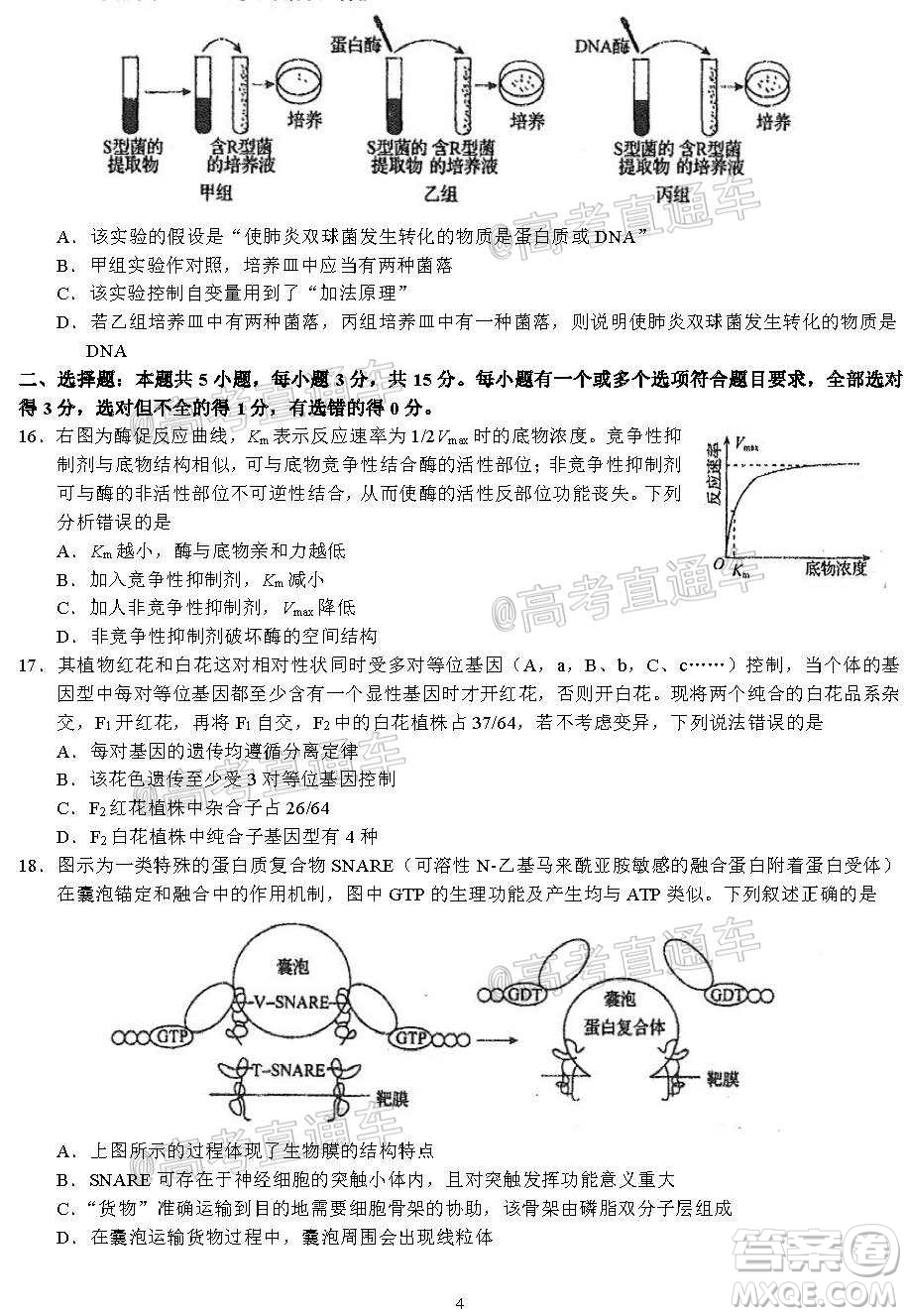 河北省衡水中學2021屆上學期高三年級二調考試生物試題及答案