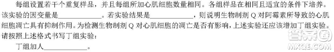 河北省衡水中學2021屆上學期高三年級二調考試生物試題及答案