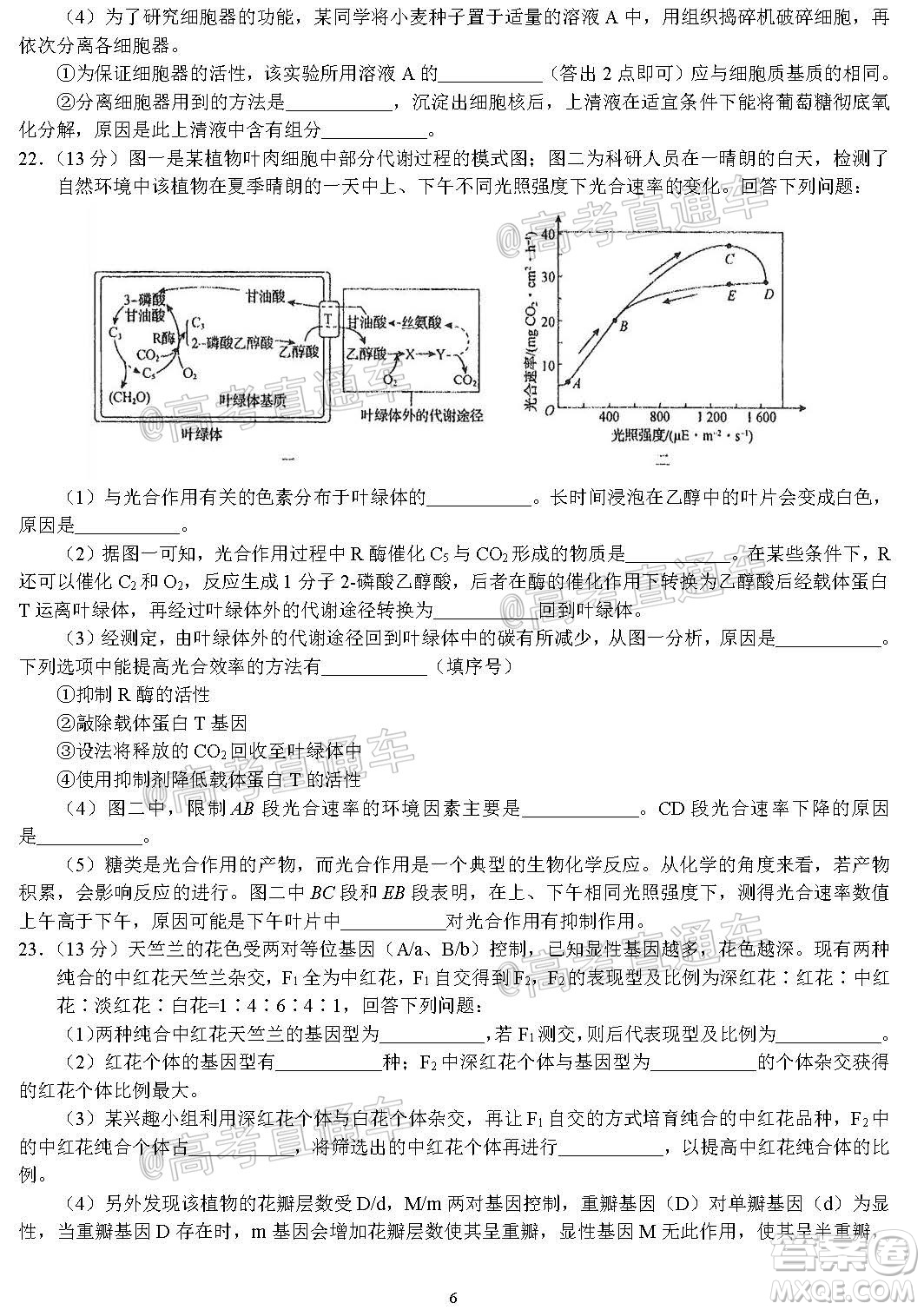 河北省衡水中學2021屆上學期高三年級二調考試生物試題及答案