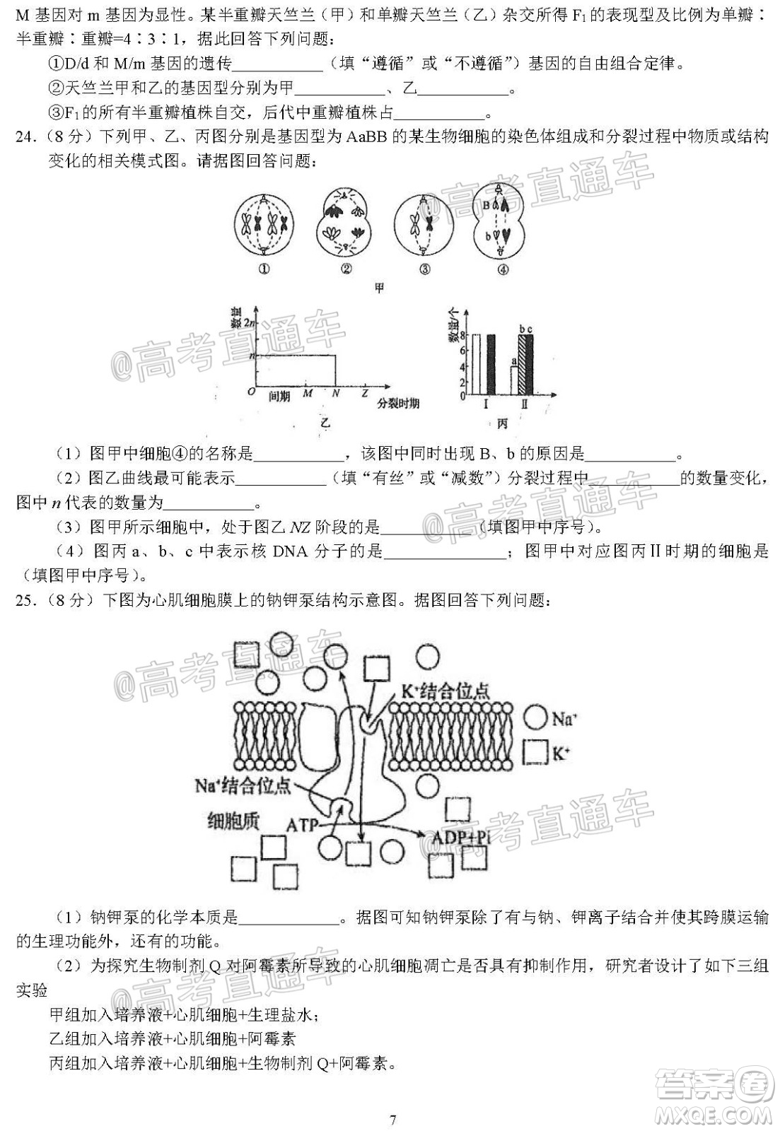 河北省衡水中學2021屆上學期高三年級二調考試生物試題及答案