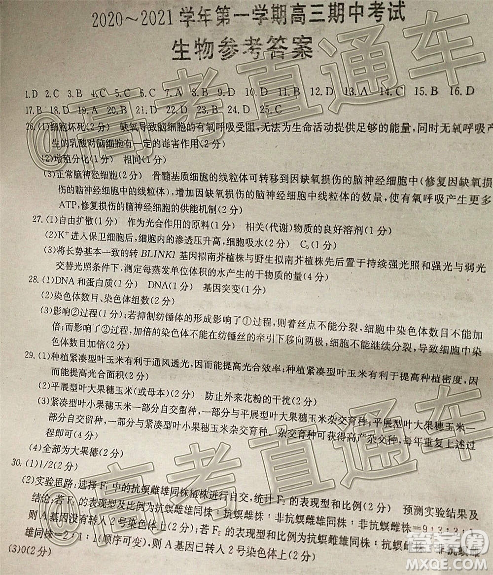 江西金太陽2020-2021學(xué)年第一學(xué)期高三期中考試生物試題及答案