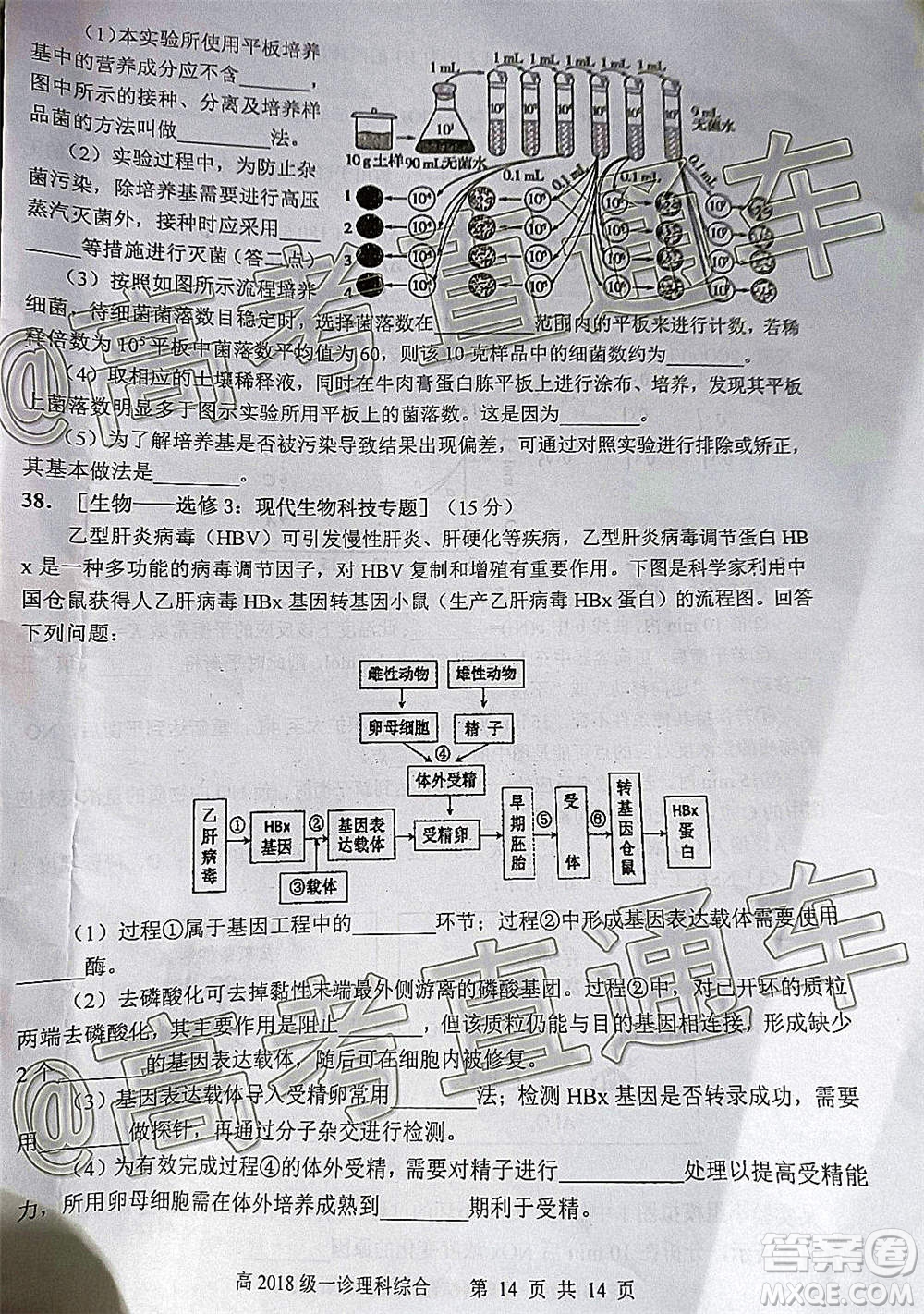 宜賓市普通高中2018級(jí)第一次診斷性測(cè)試?yán)砜凭C合試題及答案