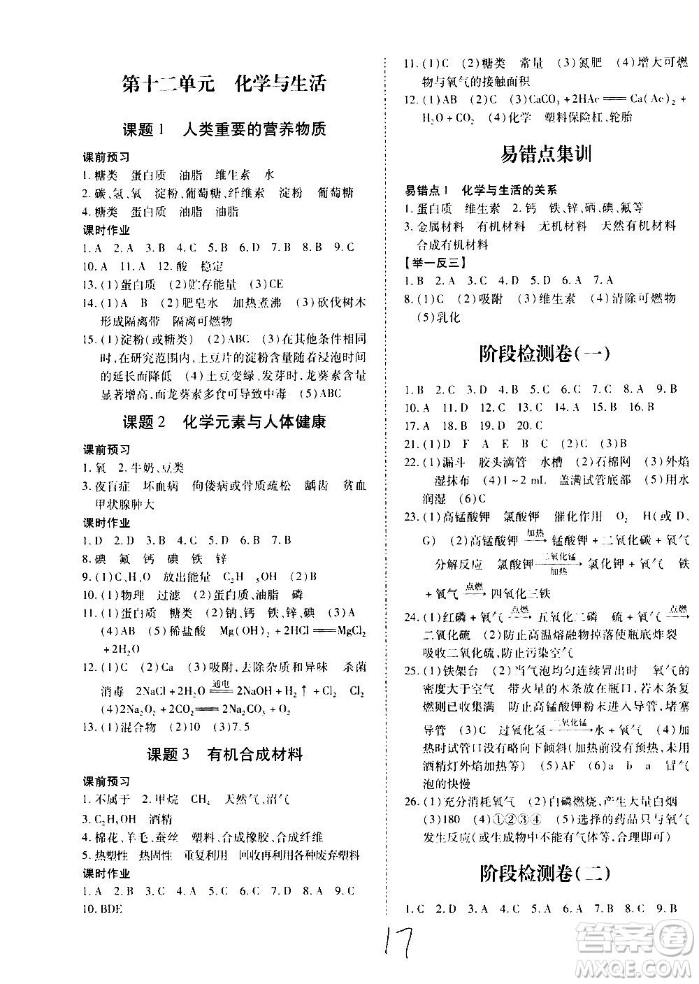 內(nèi)蒙古少年兒童出版社2020本土攻略化學(xué)九年級全一冊RJ人教版答案