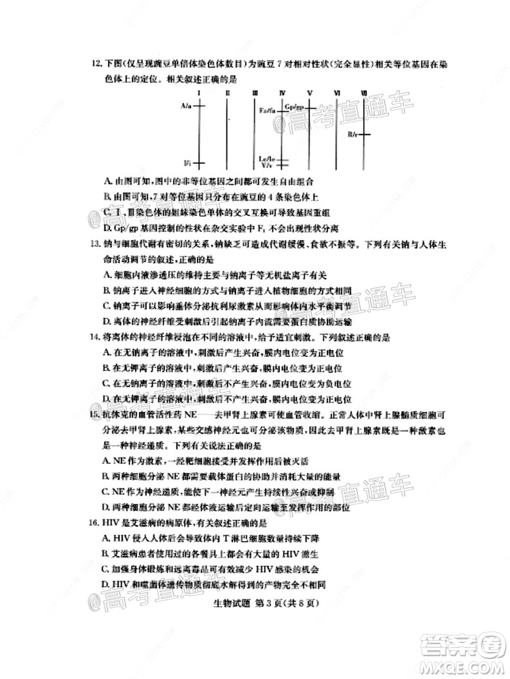 湘豫名校聯(lián)考2020年11月高三生物試題及答案