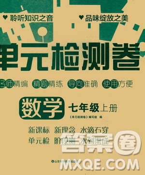 山東科學(xué)技術(shù)出版社2020單元檢測卷數(shù)學(xué)七年級上冊人教版答案