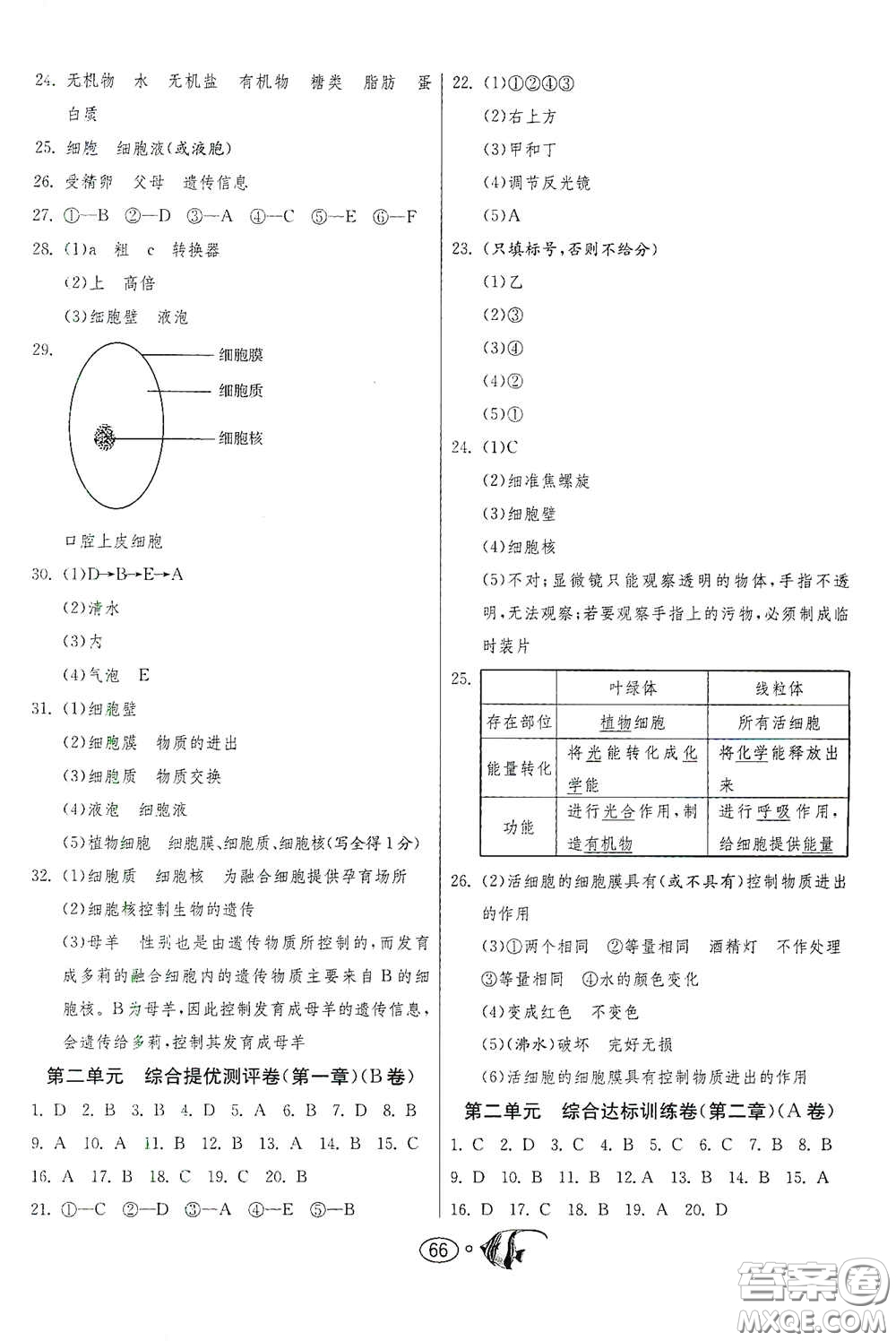 江蘇人民出版社2020名牌牛皮卷提優(yōu)名卷七年級(jí)生物上冊RMJY版答案