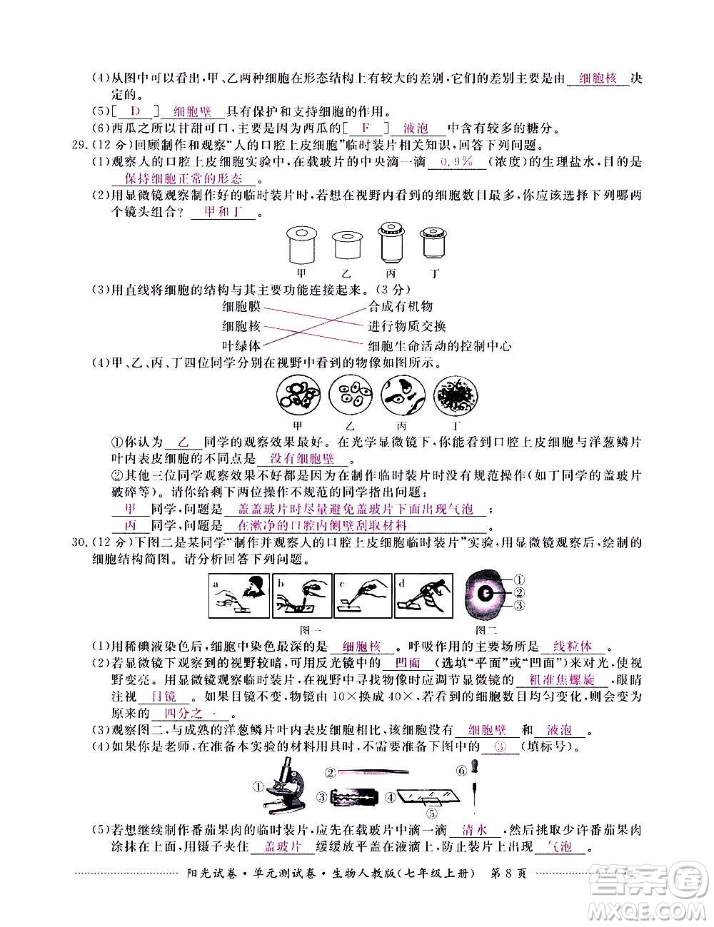 江西高校出版社2020陽(yáng)光試卷單元測(cè)試卷生物七年級(jí)上冊(cè)人教版答案