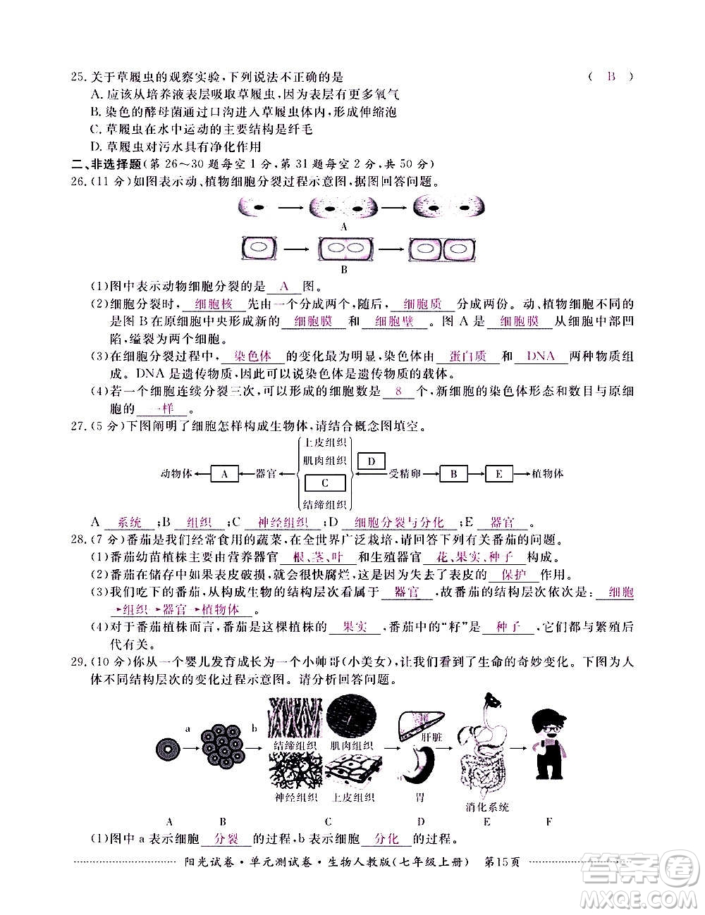 江西高校出版社2020陽(yáng)光試卷單元測(cè)試卷生物七年級(jí)上冊(cè)人教版答案