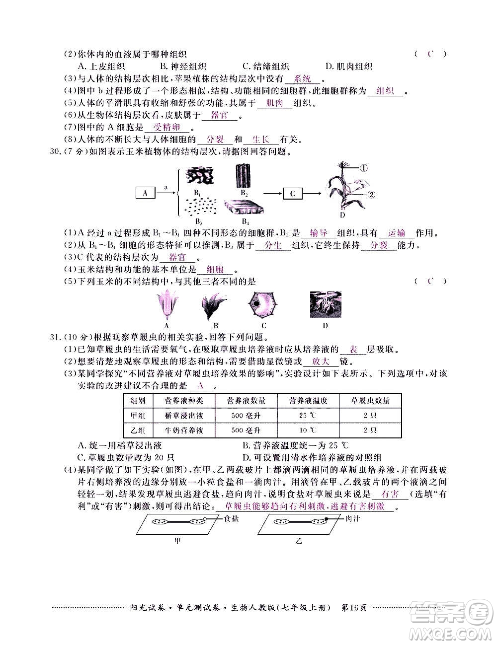 江西高校出版社2020陽(yáng)光試卷單元測(cè)試卷生物七年級(jí)上冊(cè)人教版答案