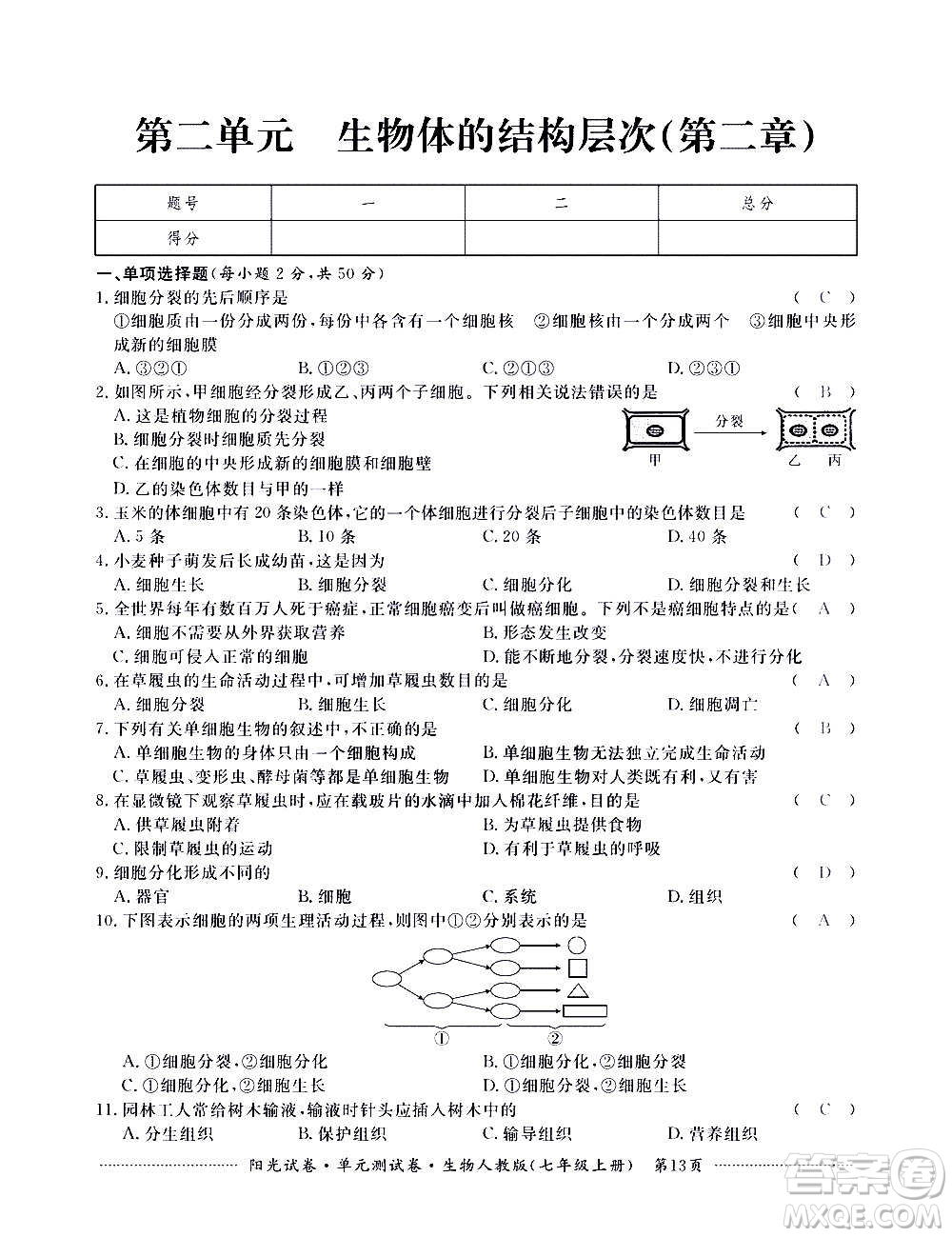 江西高校出版社2020陽(yáng)光試卷單元測(cè)試卷生物七年級(jí)上冊(cè)人教版答案