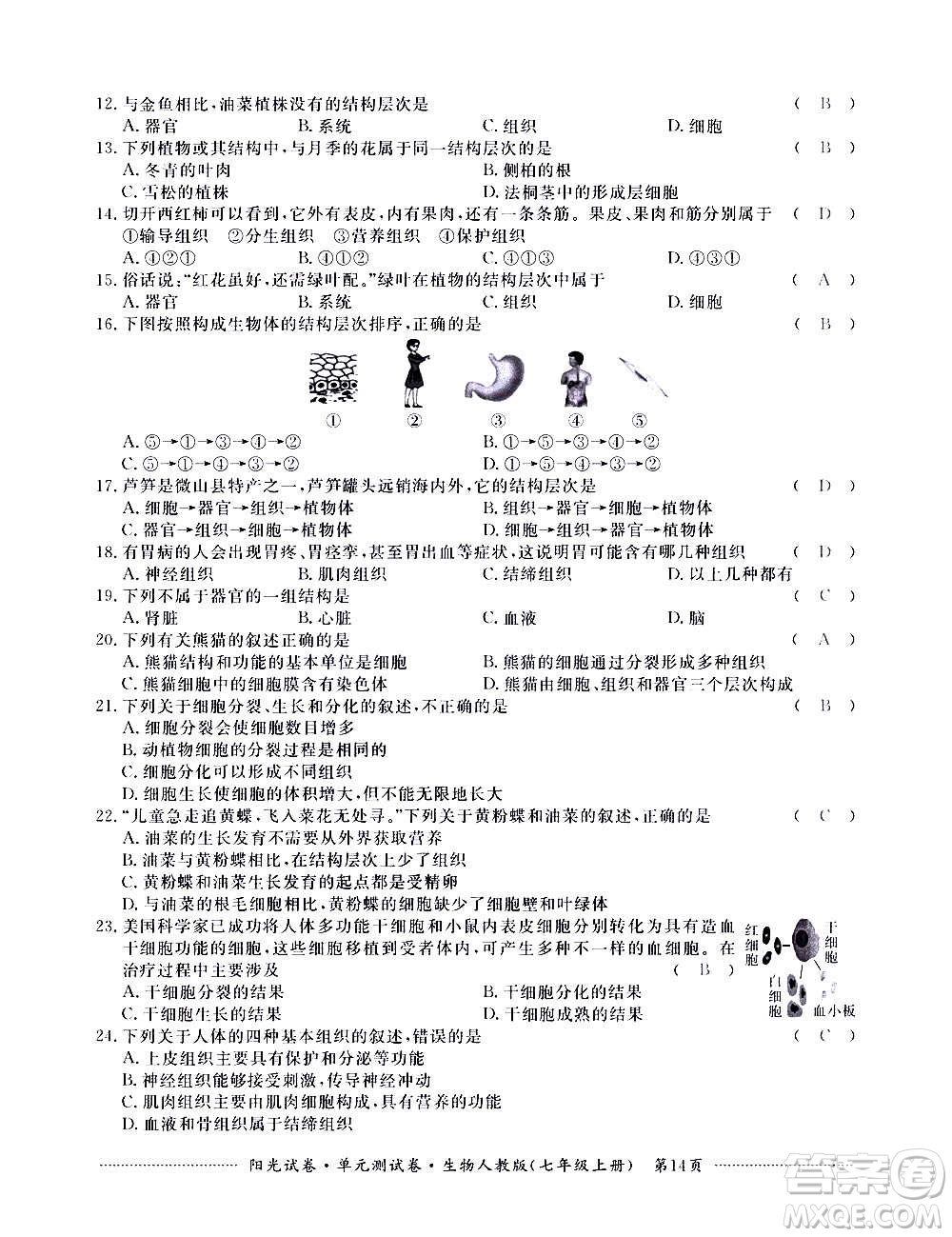 江西高校出版社2020陽(yáng)光試卷單元測(cè)試卷生物七年級(jí)上冊(cè)人教版答案