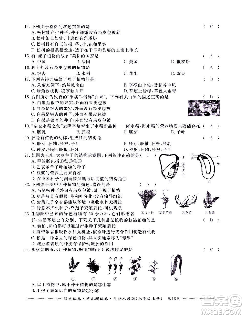 江西高校出版社2020陽(yáng)光試卷單元測(cè)試卷生物七年級(jí)上冊(cè)人教版答案