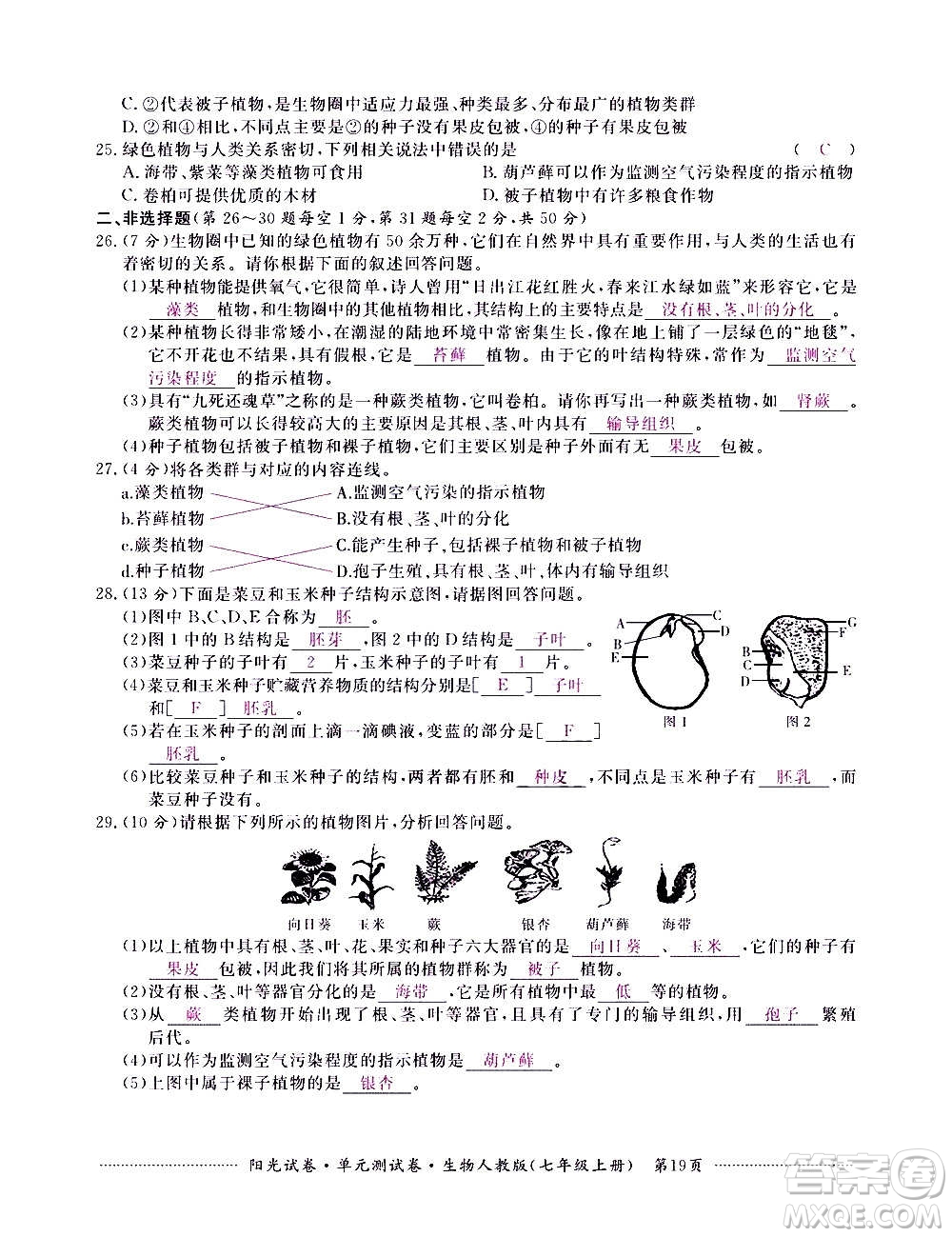 江西高校出版社2020陽(yáng)光試卷單元測(cè)試卷生物七年級(jí)上冊(cè)人教版答案