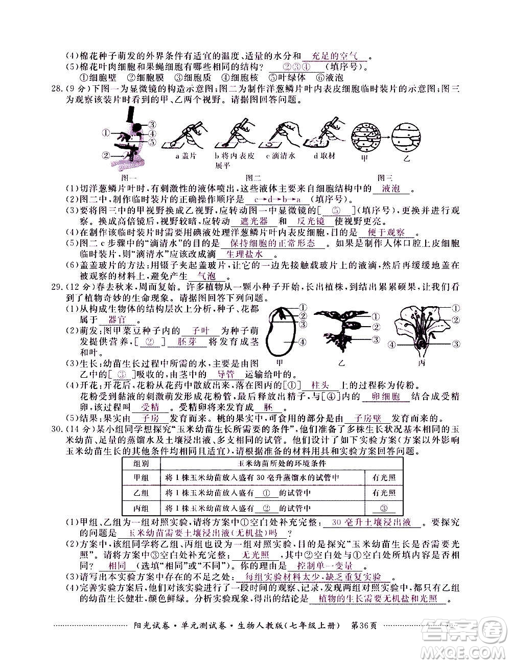 江西高校出版社2020陽(yáng)光試卷單元測(cè)試卷生物七年級(jí)上冊(cè)人教版答案