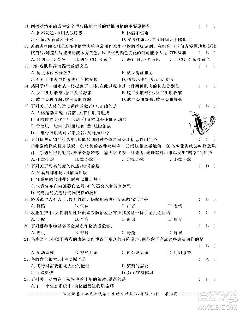 江西高校出版社2020陽(yáng)光試卷單元測(cè)試卷生物八年級(jí)上冊(cè)人教版答案