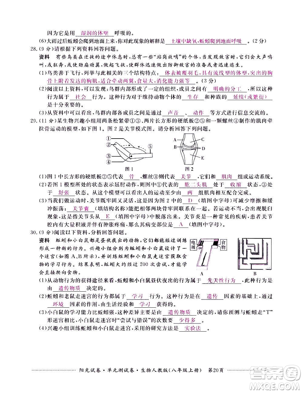 江西高校出版社2020陽(yáng)光試卷單元測(cè)試卷生物八年級(jí)上冊(cè)人教版答案