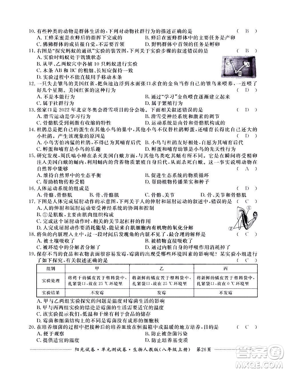 江西高校出版社2020陽(yáng)光試卷單元測(cè)試卷生物八年級(jí)上冊(cè)人教版答案