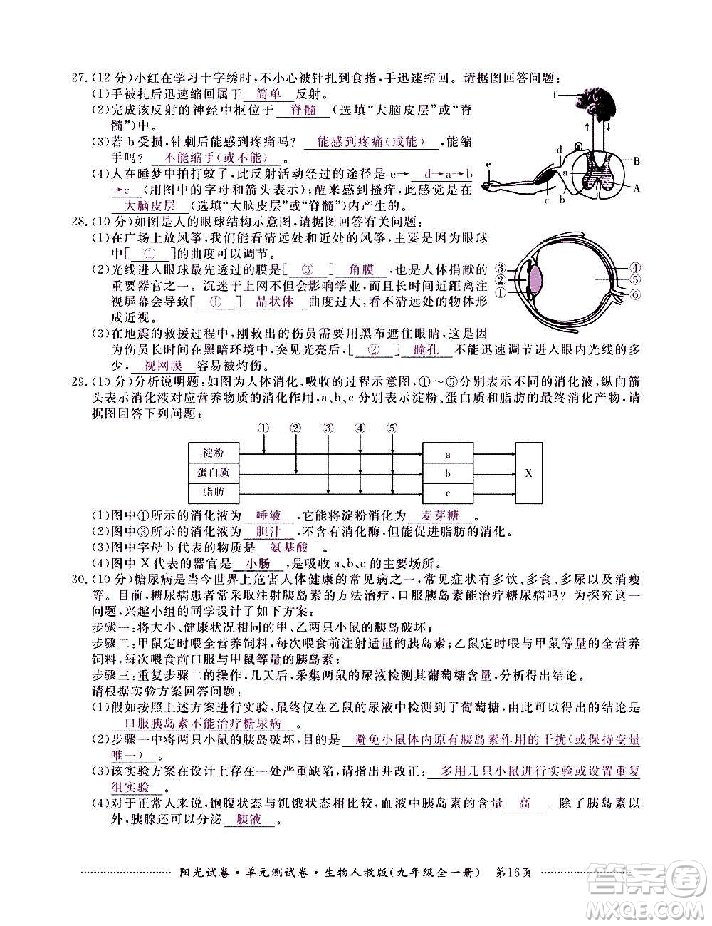 江西高校出版社2020陽光試卷單元測試卷生物九年級全一冊人教版答案