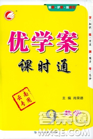 延邊教育出版社2020優(yōu)學(xué)案課時(shí)通數(shù)學(xué)九年級(jí)全一冊(cè)RJ人教版云南專用答案