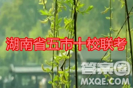 湖南省五市十校2020年下學(xué)期高三年級(jí)第二次大聯(lián)考英語(yǔ)試題及答案