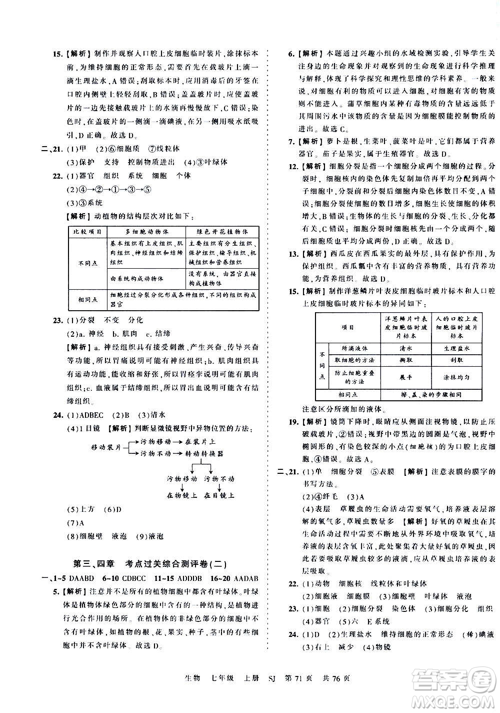 江西人民出版社2020秋王朝霞考點梳理時習卷生物七年級上冊SJ蘇教版答案