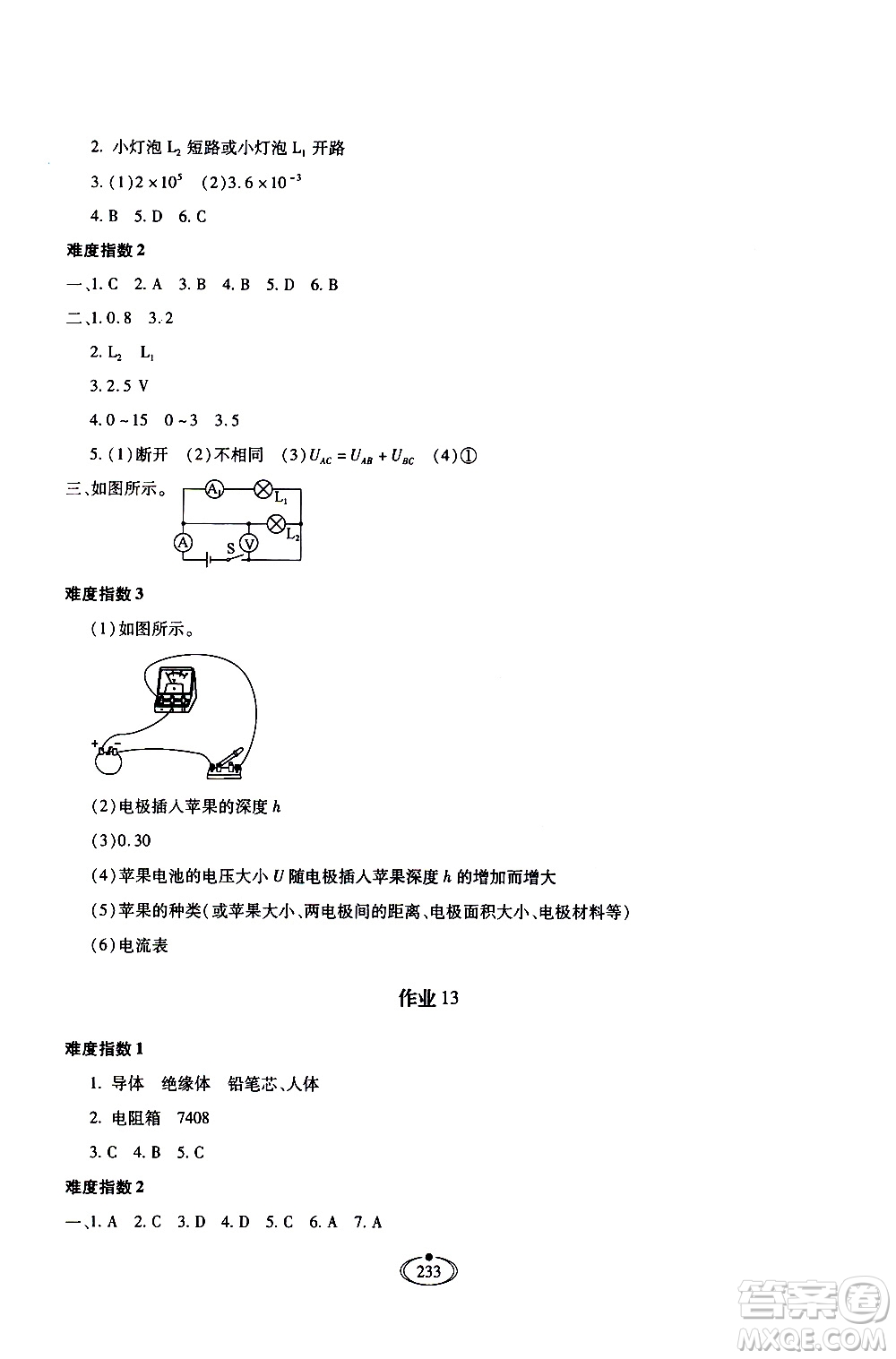 河北少年兒童出版社2020世超金典作業(yè)物理九年級全一冊人教版答案