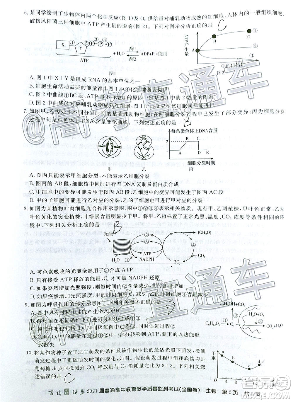 2021屆百校聯(lián)盟12月聯(lián)考全國卷生物試題及答案